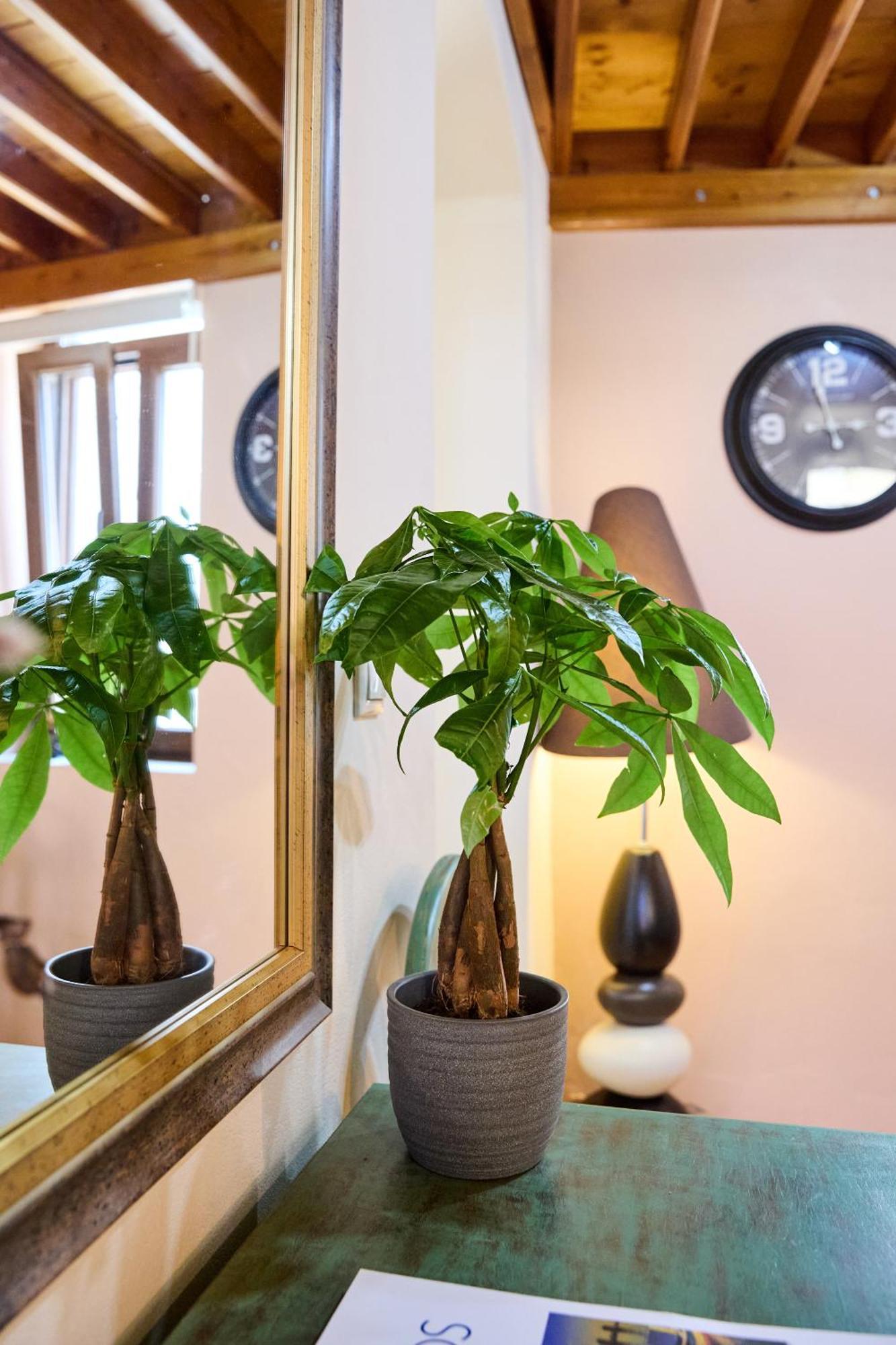 Windmills Apartments Chios 外观 照片